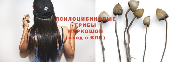 mix Абаза